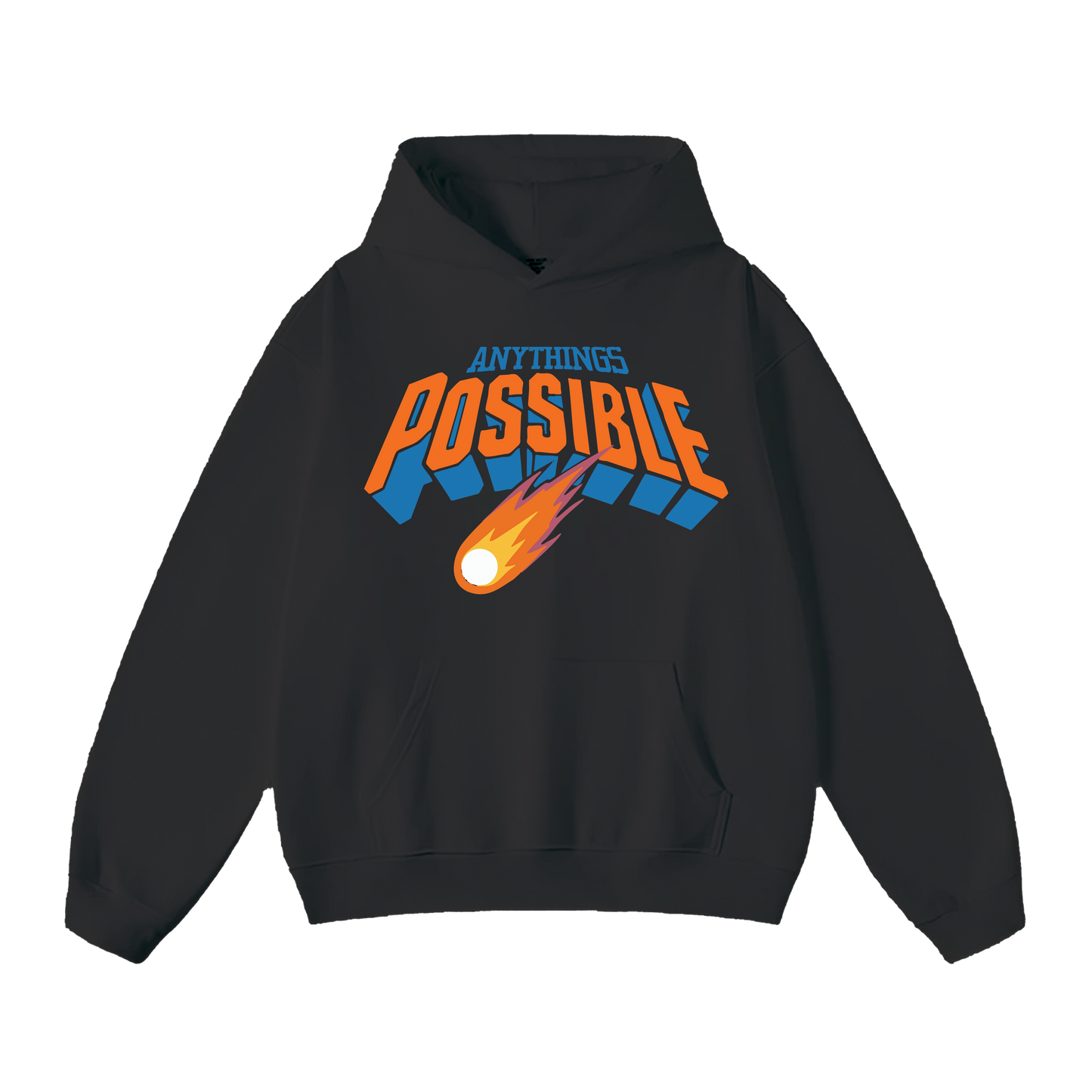 Reintroduction Hoodie