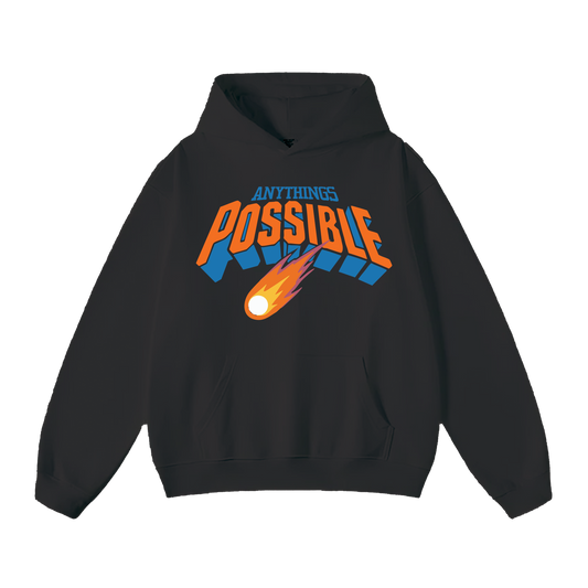 Reintroduction Hoodie